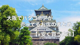 大阪でパタゴニアが売ってるお店をまとめました【+安く買う方法】