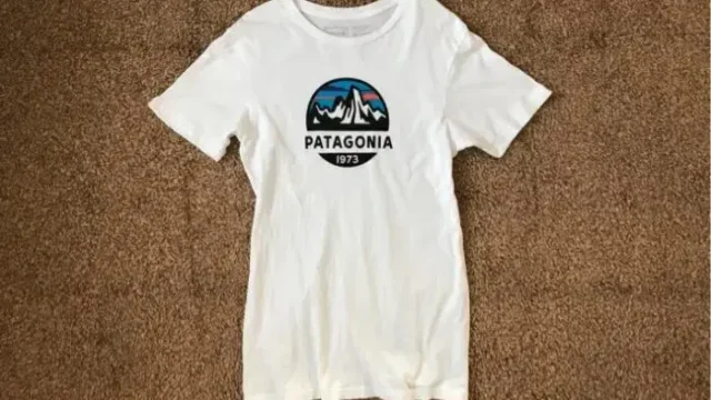 メンズ フィッツロイ スコープ オーガニック Tシャツを1年半着てる感想【パタゴニア】
