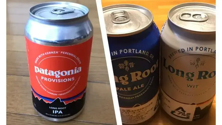 【高いけどうまい】パタゴニアのビールを3種類飲んだ感想